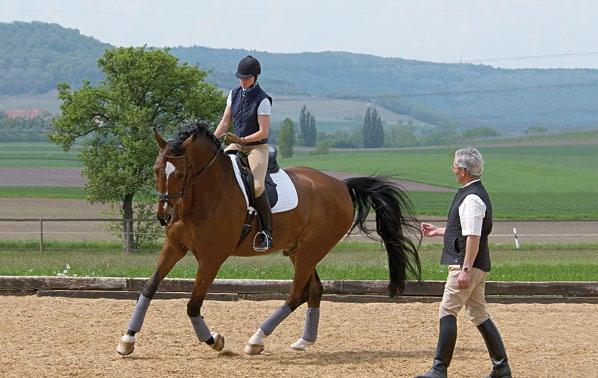 37 Für Ausbilder und Richter NEUerscheinung Foto: Peter Prohn, Barmstedt Reitenlehren lernen Für alle Ausbilder/innen im Reitsport: Über 100 vorgeplante Unterrichts stunden für erlebnisorientierten,