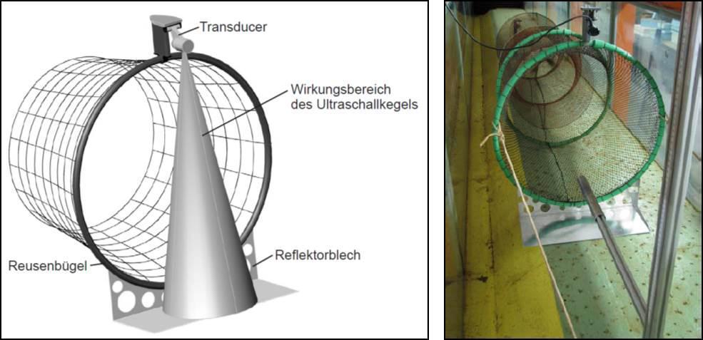70 Die Aalschutz-Initiative Rheinland-Pfalz/RWE Power AG Abbildung 4.23: Von der Aalschutz-Initiative und dem IWW entwickelte Detektorreuse (links: Prinzipskizze, rechts: Foto) (Quelle: BECKER ET AL.