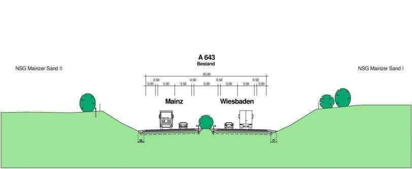 Mainzer Sand Kronenbreite Einschnitt Bestandsquerschnitt 4 Fahrstreifen mit Standstreifen Gesamtbreite 25,00 Meter 4