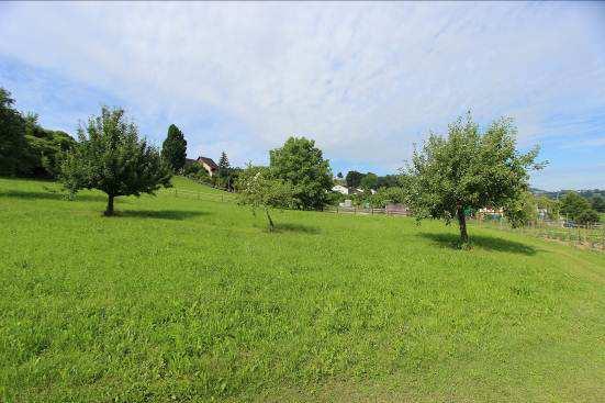 Kurzbeschrieb Lage Areal / Bauparzelle Die beiden nebeneinanderliegenden Bauflächen A und B befinden sich zwischen der Hauptstrasse und der obere Haldenstrasse im westlichen Ortsteil der Gemeinde