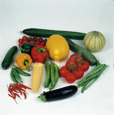 Pflanzliche Lebensmittel Gemüse und Obst 5 x am Tag Gemüse und Obst (1 Portion als Obst- oder Gemüsesaft) abwechslungsreich