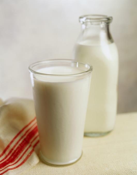 Milch und Milchprodukte Ernährungsphysiologische Bedeutung gute Calciumquelle hochwertiges Eiweiß fettlösliche Vitamine