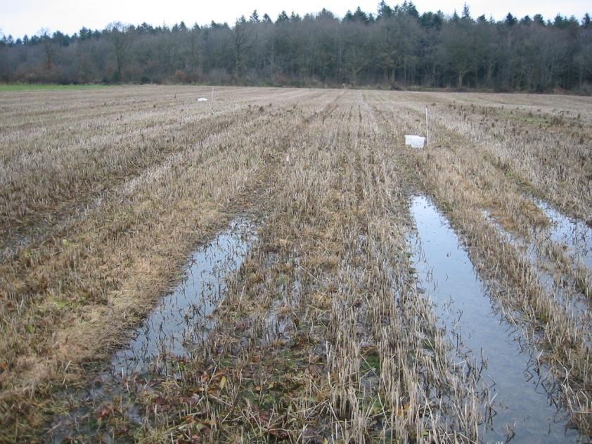 Verdichtungen oft Ursache für geringe Erträge Bodendegradationen Rund 40 bis 60 % der Ackerflächen der Ukraine haben aufgrund des Einsatzes schwerer Maschinen in den letzten 40 bis 60 Jahren massive