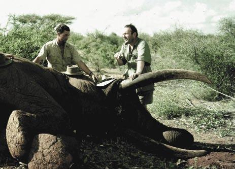 Seine letzte professionelle Safari führte er im Jahr 2000 durch.