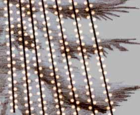 Sparkle Abspannung mit Lichterketten Baumhöhe Montagezeit/Aufwand Montagevorschlag 15 m 10 m ca. 60 x LED String Lite 120 20 m ca. 100 x LED String Lite 120 12 m 2 Monteure ca.