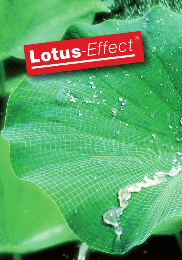 Warum das Lotusblatt als Vorbild? Das stets saubere Lotusblatt fasziniert seit jeher sowohl Wissenschaftler als auch Techniker.
