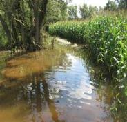 Stickstoff- und Pestizidaufwandmengen, N-Belastung Schutzgebiete Klimaschutz