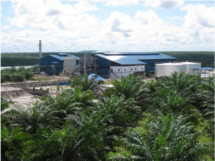 3. Tag Vormittag: Besuch einer Palmöl Raffinerie In Raffinerien wird CPO zu Palmstearin und Palmolein weiter verarbeitet, das nach weiteren