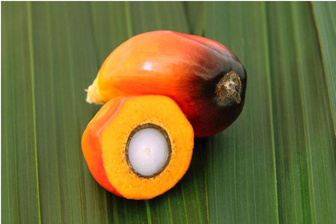 4. Tag: Herstellung von Palmöl-, Palmkernölderivaten Palmöl bzw. Palmkernölspielt nicht nur im Ernährungsbereich eine wichtige Rolle.
