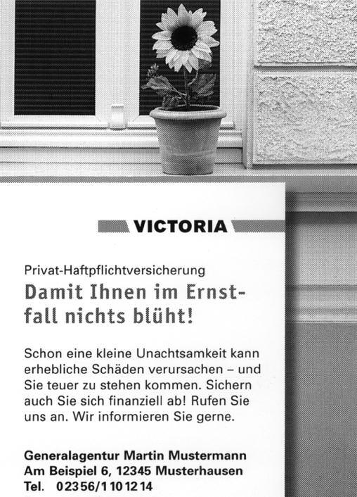Seite 14 Amts- und Mitteilungsblatt der Gemeinde Leutersdorf 27. 07. 2007 Privat-Haftpflichtversicherung Damit Ihnen im Ernstfall nichts blüht!