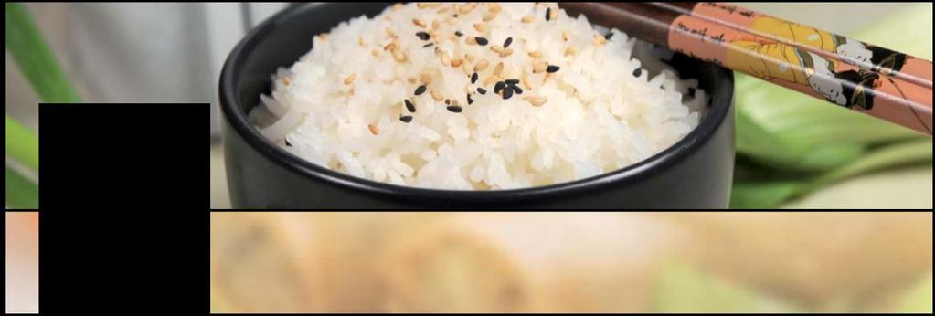 Reis Gerichte 炒饭 Rice 150.
