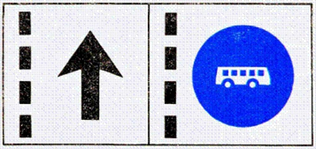 Auf einer Zusatztafel kann angegeben werden, dass die betreffende Straße auch mit anderen Fahrzeugarten (zb Omnibusse des Stadtrundfahrten-Gewerbes oder einspurige Fahrzeuge) benützt werden darf;