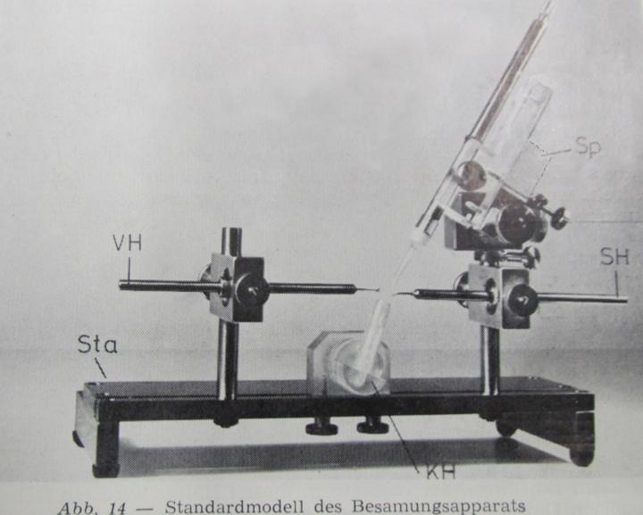 Standardmodell n. Ruttner u.a. 1975 (aus 2.