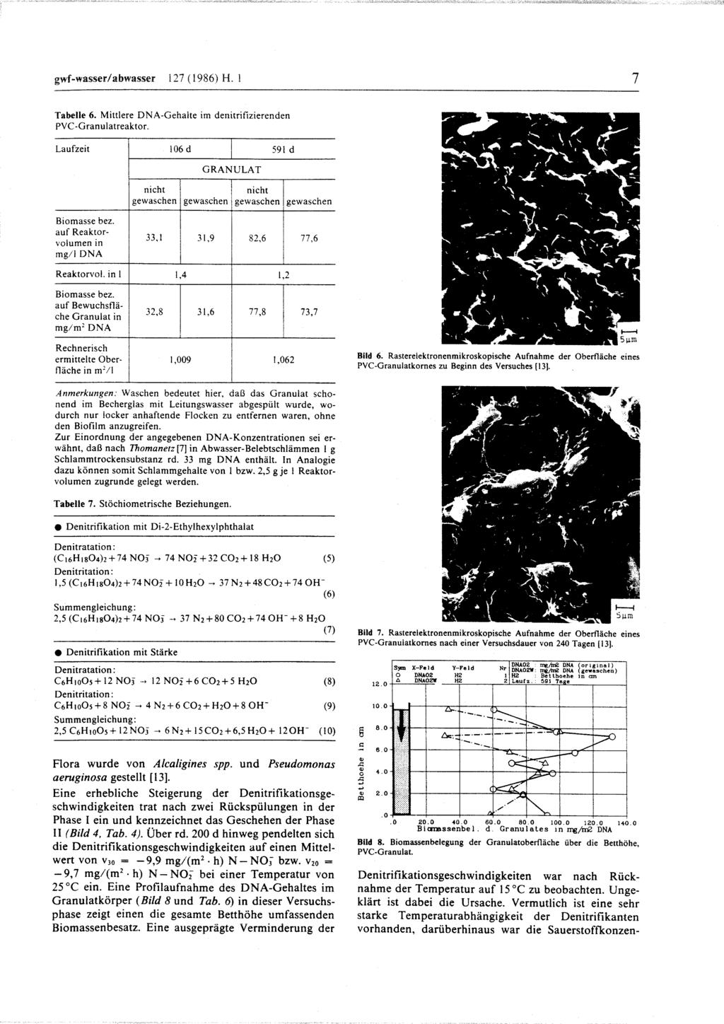 gwf-wasser/abwasser 127 (1986) H. 1 7 Tabelle 6. Mittlere DNA-Gehalte im denitrifizierenden PVC-Granulatreaktor.