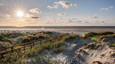 Naturerlebniswoche in St. Peter-Ording und auf Eiderstedt vom 19.06.- 24.06.2017 In der Naturerlebniswoche in St.