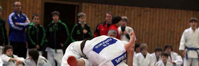 Judo Standardprogramm (a) War ein Einzelkampf unentschieden, dann wird dieser zum Stichkampf. (b) Waren mehrere Einzelkämpfe unentschieden, dann wird aus ihnen ein Stichkampf gelost.