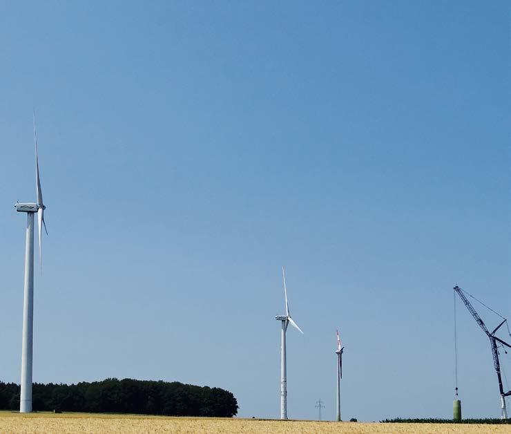 Windenergieanlagen Natur im Kreis Kleve Kiebitz-Gelege durchführt, referierte über Methoden zur Erfassung der Fledermausbestände vor, aber auch nach dem Bau der WEAs.