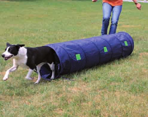 Dog-Activity Agility-Slalom aus Kunststoff, für ein wechslungsreiches Fitnessprogramm, diverse Aufbauvarianten