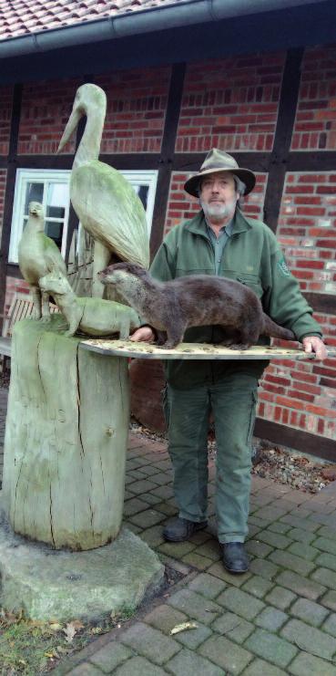 12 Otter im Cuxland: Otterforscher gesucht!