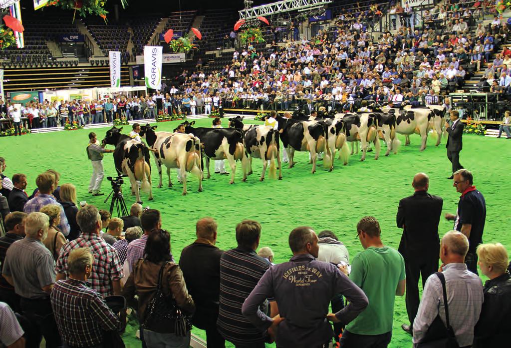 Im großen Schauwettbewerb stellten sich insgesamt 54 rotbunte und 167 schwarzbunte Holsteinkühe dem Urteil des Publikums und der Preisrichter Lambert Weinberg, Isterberg, und Marko