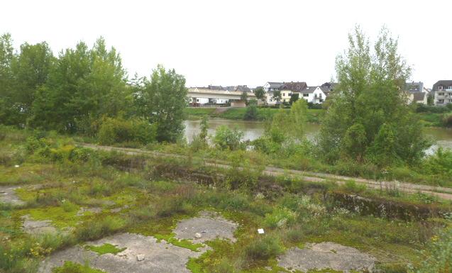 Bei der für diesen Bereich laufenden Planung der K82, sollten die Entwicklungspotentiale dieses Uferbereiches für einen naturnahe Freizeit- und Naherholungsbereich genutzt werden.