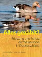 Wasservogelzählungen zu Beginn der 1950er Jahre bis zur heutigen Organisation durch den Dachverband Deutscher Avifaunisten.