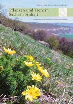 Flora und Fauna Pflanzen und Tiere in Sachsen-Anhalt Kompendium der Biodiversität Pflanzen und Tiere ist nur eine unvollständige Kurzfassung dieses umfangreichen Kompendiums zur biologischen Vielfalt