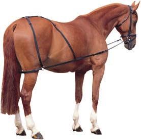 Kombi-Ausbinder mit Hintergeschirr Aktiviert im Gegensatz zu den meisten Hilfszügeln gezielt die Hinterhand, verhindert wirkungsvoll das Auseinanderfallen des Pferdes.