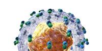 Immunoblot - HIV ID NAT