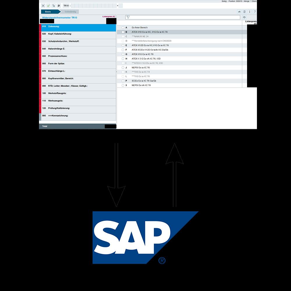 Evaluation Abbildung 10 - Aufruf eines SAP Funktionsbausteins aus dem E+H Konfigurator 6.