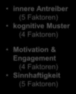 Innere Antreiber innere Antreiber (5 Faktoren) kognitive Muster (4 Faktoren) Motivation & Engagement (4