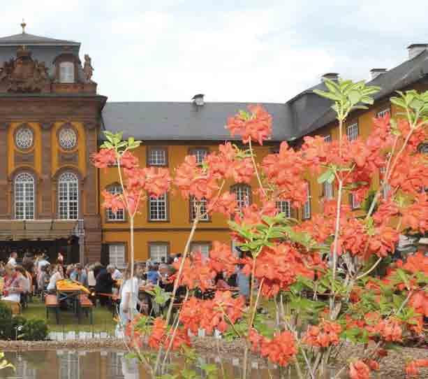 Kultur-Land Churfranken: Neben großen Events wie den Clingenburg Festspielen, der Kulinarischen Nacht und dem Maimarkt