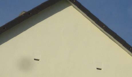 Diese Quartiere werden von Spalten bewohnenden Fledermäusen als Sommerquartier angenommen. Hasselfeld Fledermauseinbausteine FEVE B 24 x H 24 (oder wahlweise 36) x T 8 cm www.hasselfeld-naturschutz.