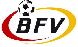 2017 hat der Wiener Fußball-Verband die Geschäftsführung in der Regionalliga Ost für das Spieljahr 2017/18 übernommen.