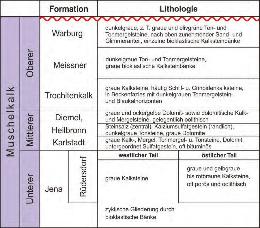 (BGR) Seite 20 von 189 Auf den Buntsandstein folgt in Norddeutschland der Muschelkalk, der nachfolgend zusammenfassend anhand der Erläuterungen zur Stratigraphischen Tabelle von Deutschland 2002 von
