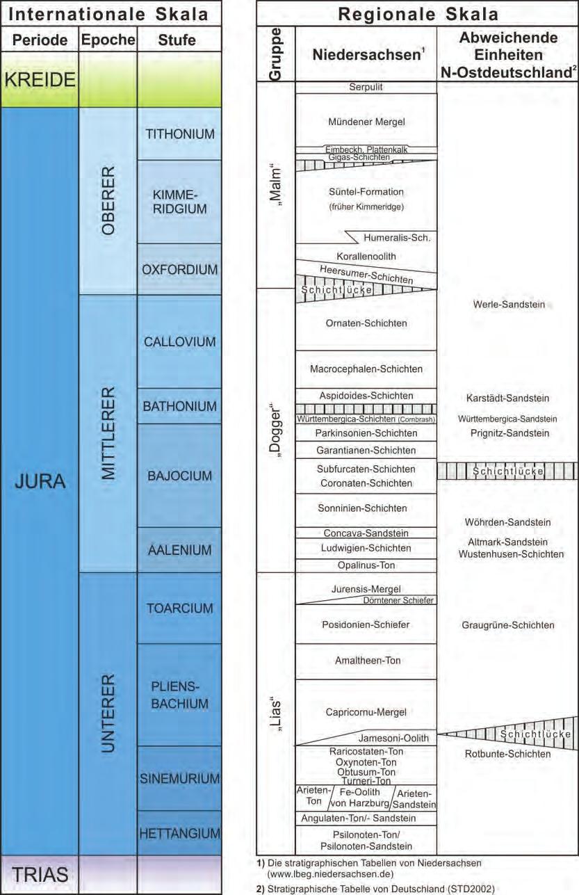(BGR) Seite 24 von 189 Abb. 12: Stratigraphische Gliederung des Jura in Niedersachsen und Abweichungen in Nordostdeutschland (nach Heunisch et al.