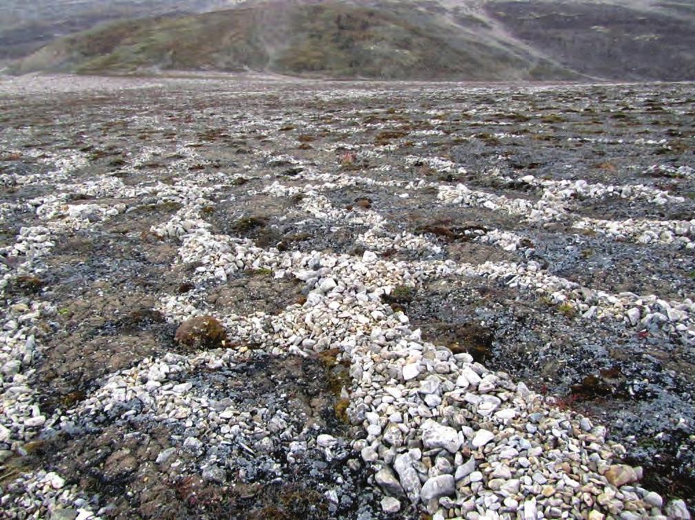 (BGR) Seite 89 von 189 Abb. 38: Steinringe im rezenten Permafrost auf Spitzbergen (Foto: S.