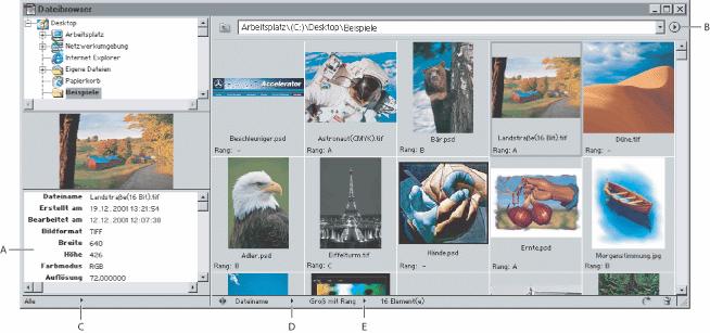 Der Dateibrowser von Photoshop: A. Dateiinformationen B. Palettenmenü des Dateibrowsers C. Popup-Menü DATEIINFORMATIONEN D. Popup-Menü SORTIEREN NACH E.