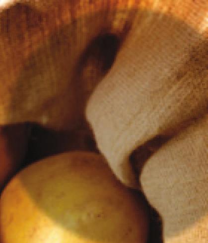 1+1= GETREIDEFREI G R A I N F R E E Getreidefrei mit hochbekömmlichem Truthahn & Kartoffeln, dem Immunschutz Hochwertige Kartoffeln sind eine feine Alternative zu Getreide.