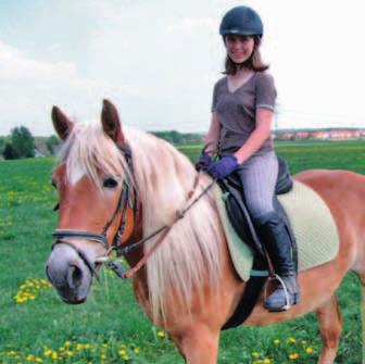 Erika widmet sich vorwiegend der Pferdepension in der sich Freizeitpferde, Sportpferde und Reiter wohlfühlen, während Horst sich um die Landwirtschaft und Rinderzucht kümmert.
