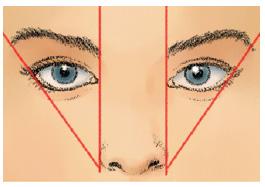a) Der Abstand der Brauen Kleiner Brauenabstand (mit aufsteigender Linie) = Verlängerung und Verschmälerung des Gesichtes Mittlerer Brauenstand = Keine Veränderung des Gesichtes Grosser