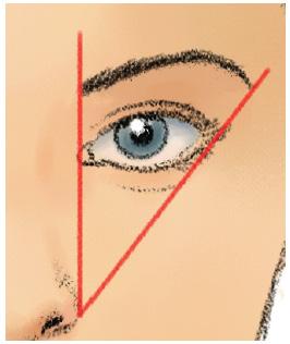 Zone 3 halb geschlossen = keine Veränderung 4 geschlossen = Verschmälerung des Gesichtes Drei gleiche Augenpaare, die mit unterschiedlicher