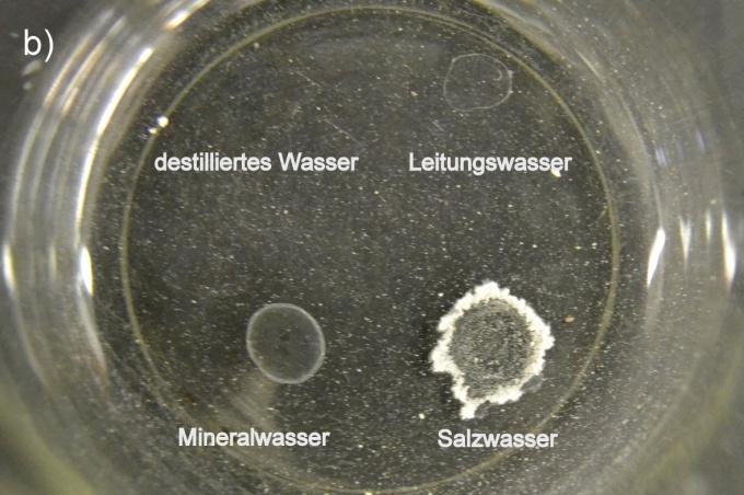 3 Schülerversuche 11 Beobachtung: Destilliertes Wasser hinterlässt beim Verdunsten keine Rückstände. Im Gegensatz dazu bilden Leitungs-, Mineral- und Salzwasser Rückstände in Form von weißer Kruste.