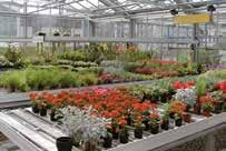 Bei Gärtnern ist die Gewächshaustechnik (Energieeinsatz, Klimatisierung, Beleuchtung und Bewässerung) ein weiterer Schwerpunkt.
