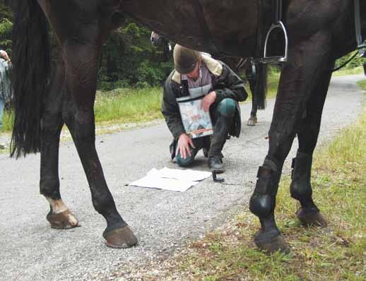 TREC Ausreiten oder Ausfahren, das Naturerlebnis mit dem Partner Pferd, interessiert viele Pferdefreunde.