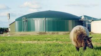 Biogasanlagen, Biomasseheizkraftwerke, Anlagen