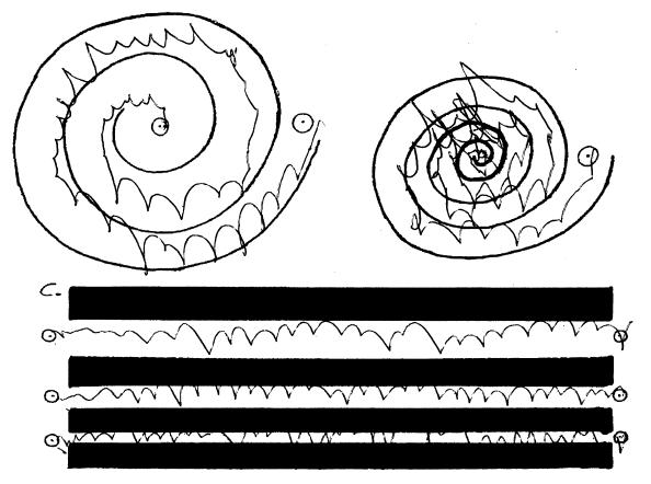 13 3. Ergebnisse 3.