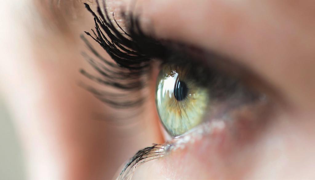 SCHÄDLICHES LICHT KANN ZU AUGENERKRANKUNGEN BEITRAGEN Energiereiche UV-Strahlung und blau-violettes Licht gelangen in das vordere und z.t. auch hintere Augengewebe und gelten als Entstehungsfaktoren für Augenerkrankungen 3.