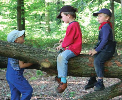 Bewegungsangebote - Körper - Gesundheit Der Kindergartenraum ist der Wald: ohne Wände,