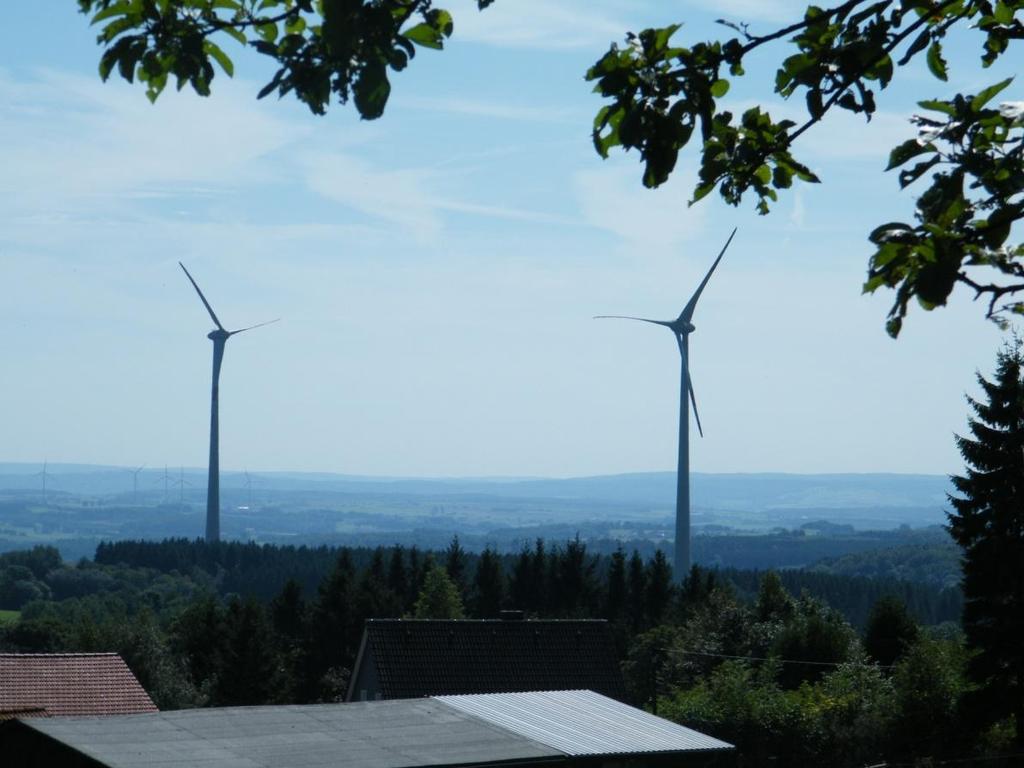 Rahmenbedingungen Windenergienutzung Gebiets- und Artenschutz in Hessen Merkmale der Region Mittelhessen NATURA 2000 Gebiete und